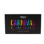 پالت سایه بی پرفکت Carnival XL Pro