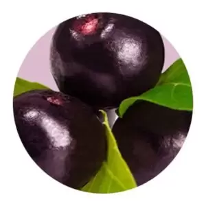 مواد اولیه محصولات تارت