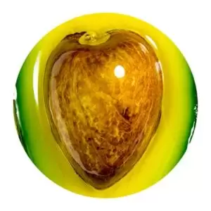 مواد اولیه محصولات تارت