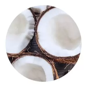 مواد اولیه محصولات تارت