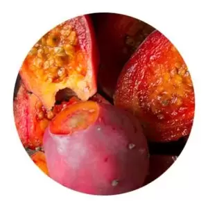 مواد اولیه محصولات تارت