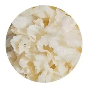 مواد اولیه محصولات تارت