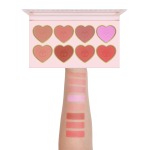 پالت رژگونه فیوچر میکاپ (FU7301)