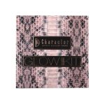 پالت هایلایتر کارکتر GK004