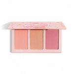 پالت رژگونه شیگلم Enamored